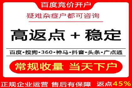 深入剖析SEM公司成功案例：数据驱动的广告策略